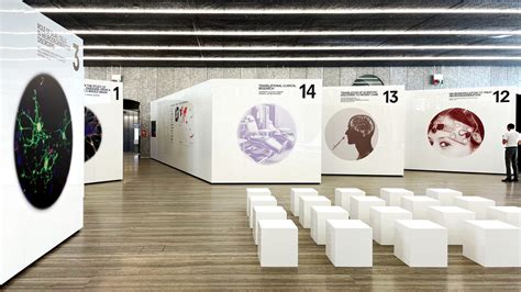 2x4 fondazione prada|Human Brains: Preserving the Brain .